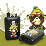bang-blaze-140000-140k-vape-puff-eub-strawberry-kiwi-and-watermelon-bubblegum-and-blueberry-cherry