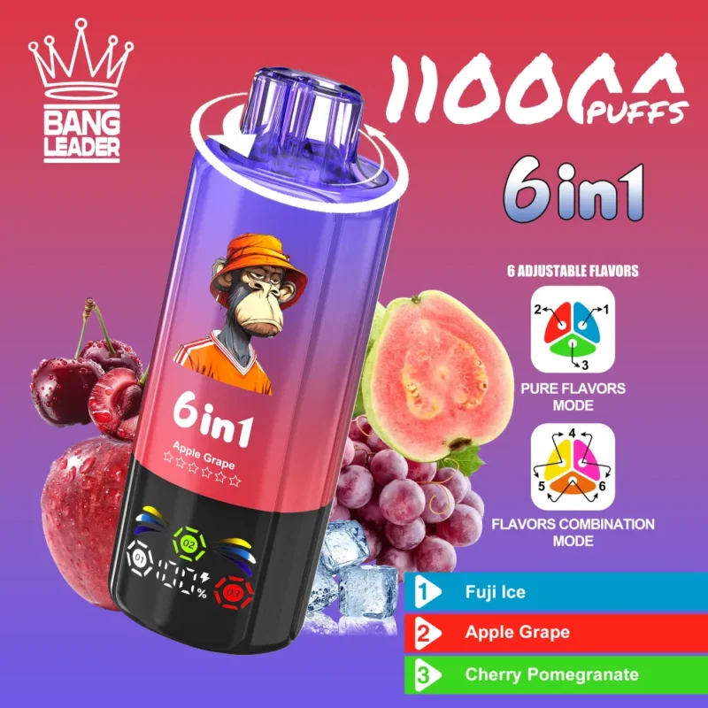 bang-leader-110k-eub-vape-fuji-ice-and-apple-rape-and-cherry-pomegranate