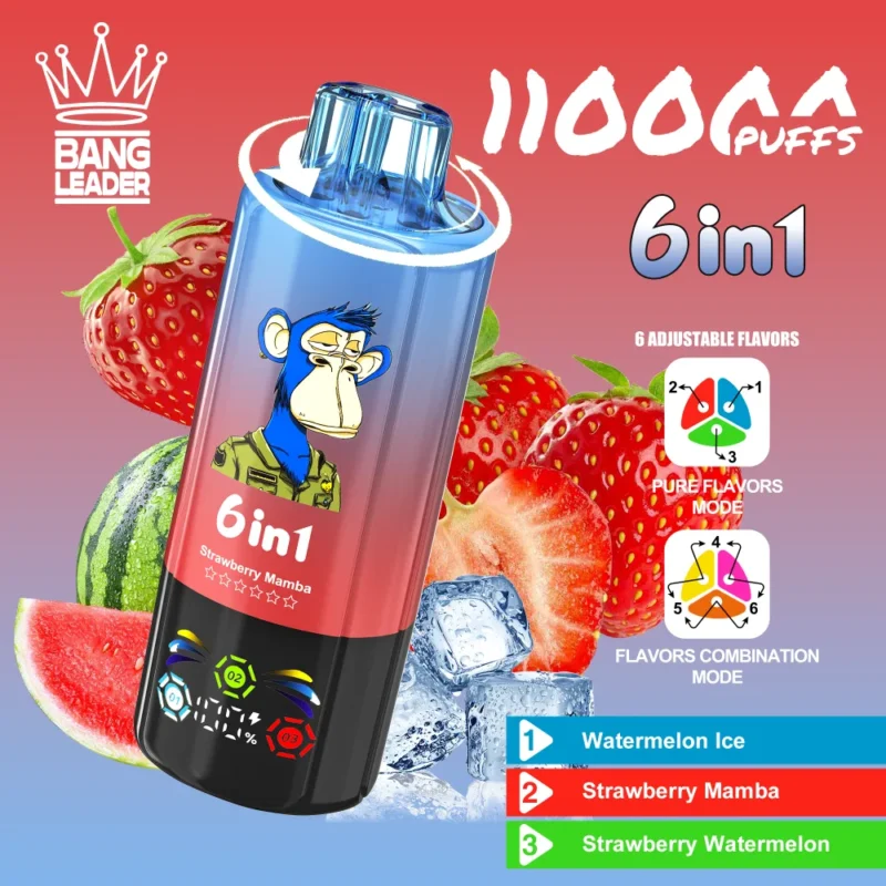 bang-leader-110k-eub-vape-watermelon-ice-and-strawberry-mamba-and-strawberry-watermelon