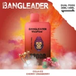 bang-leader-32000-vape-puffs-eub-cola-ice-and-cherry-cranberry