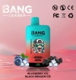 bang-leader-45000-vape-45k-puffs-blueberry-ice-black-dragon-ice-654x690