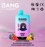 bang-leader-45000-vape-45k-puffs-blueberry-raspberry-peach-mango-watermelon-654x690