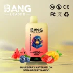 bang-leader-45000-vape-45k-puffs-blueberry-watermelon-strawberry-mango
