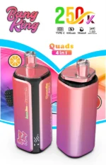bang-king-250k-eub-lemon-lime-and-watermelon-ice-and-love66-and-black-ice-dragonfruit-strawberry