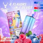 stagbar-80000-80k-eub-puffs-4in1-disposable-vape-blueberry-ice-mixed-berries-blue-razz-ice-blueberry-raspberry-ice