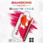 Euvape Bang Ice King Disposable Vape device