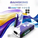 Euvape Bang Ice King Disposable Vape device detail