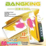 Euvape Bang Ice King Disposable Vape device design
