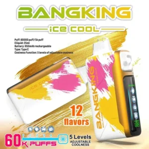 Euvape Bang Ice King Disposable Vape device design
