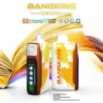 Euvape Bang Ice King Disposable Vape device view