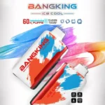 Euvape Bang Ice King Disposable Vape device image