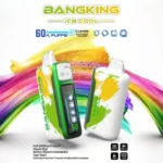 Euvape Bang Ice King Disposable Vape device view 2