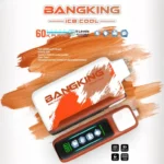 Euvape Bang Ice King Disposable Vape device variant 2