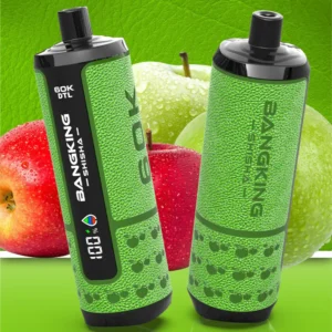 Euvapetop Bang Shisha King Disposable Vape device view