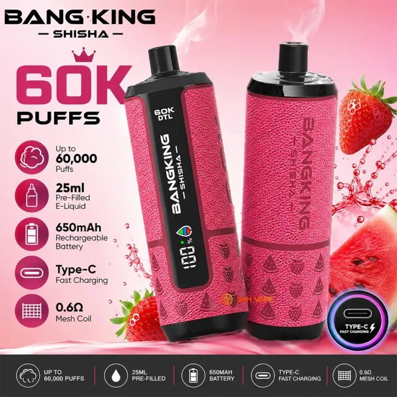 Euvapetop Bang Shisha King Disposable Vape device image