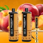 Euvapetop Bang Shisha King Disposable Vape device design 2