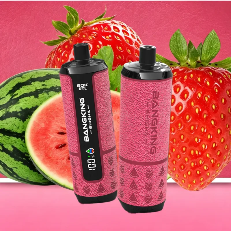 Euvapetop Bang Shisha King Disposable Vape device variant 2