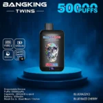 Euvapetop Bang Twins King Disposable Vape device