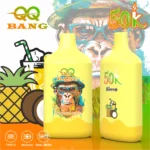 Euvapetop Qq Puffs Bang Disposable Vape device variant 2