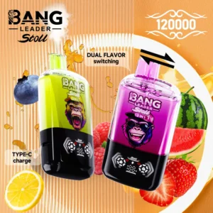Bang Leader Stoll 120K disposable vape main product image with dual flavor slide switch and OLED display