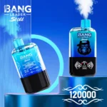 Bang Leader 120k Stoll Disposable Vape device view