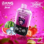 Bang Leader Stoll 120K dual pod disposable vape with two flavors in one device