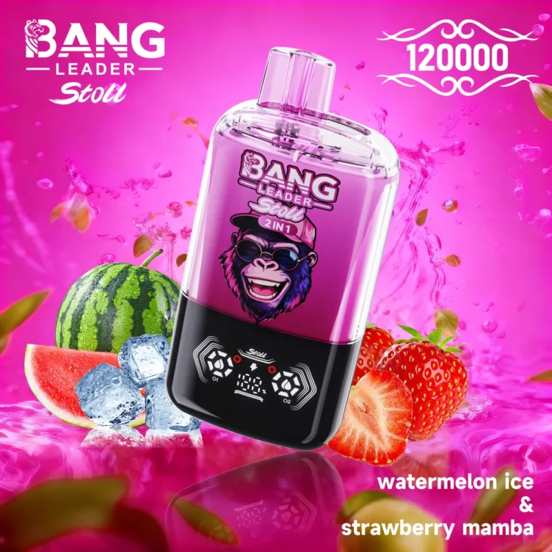 Bang Leader Stoll 120K dual pod disposable vape with two flavors in one device