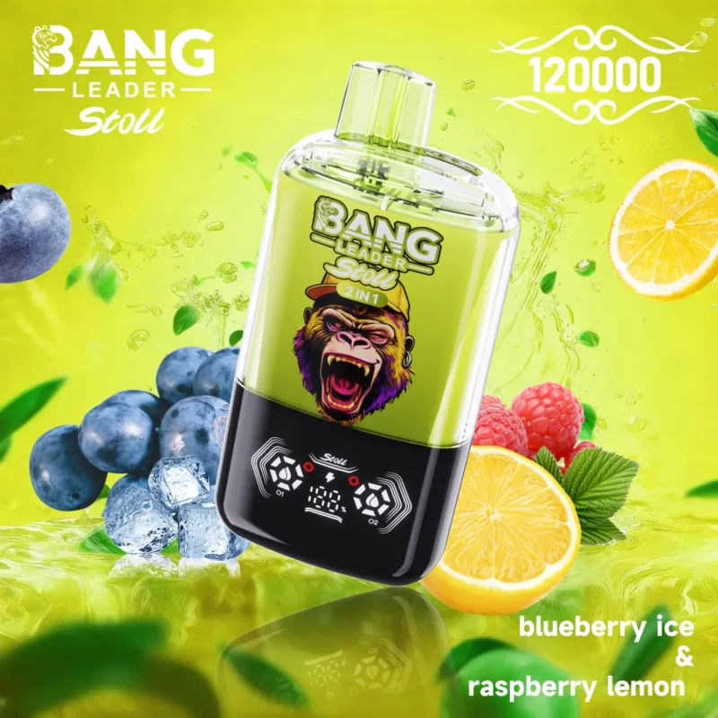 Bang Leader Stoll 120K rechargeable disposable vape with OLED screen and dual flavor system