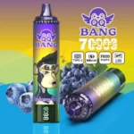 Dispositivo desechable Euvapetop Vape Bang Qq