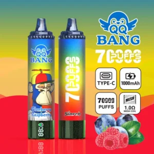 Detalles del dispositivo de vapeo desechable Qq Bang Puffs 70k