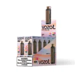 Vozol Gear Hookah 40000 Berry Ice
