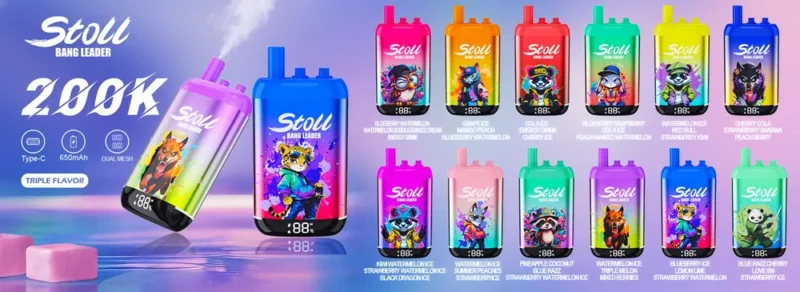 Bang Leader 200K 12 flavor collection lineup