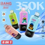 Bang Leader 350K five-unit lineup poster with pure and combination modes
