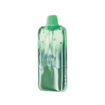 ELF BAR DUKE 30000 Watermelon Ice disposable vape transparent device