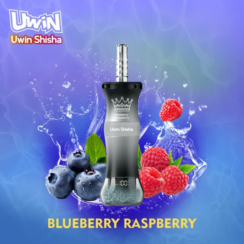 UWIN Shisha 300K, sabor a arándanos y frambuesas, vaporizador de shisha con 300 000 caladas y 50 ml de líquido para vapeo