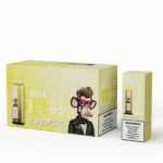VHILL Triple 90K disposable vape Strawberry Banana / Pineapple Coconut Ice / Mango Ice flavor combination box